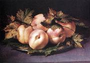 FIGINO, Giovanni Ambrogio Still-life with Peaches and Fig-leaves fdg Spain oil painting artist
